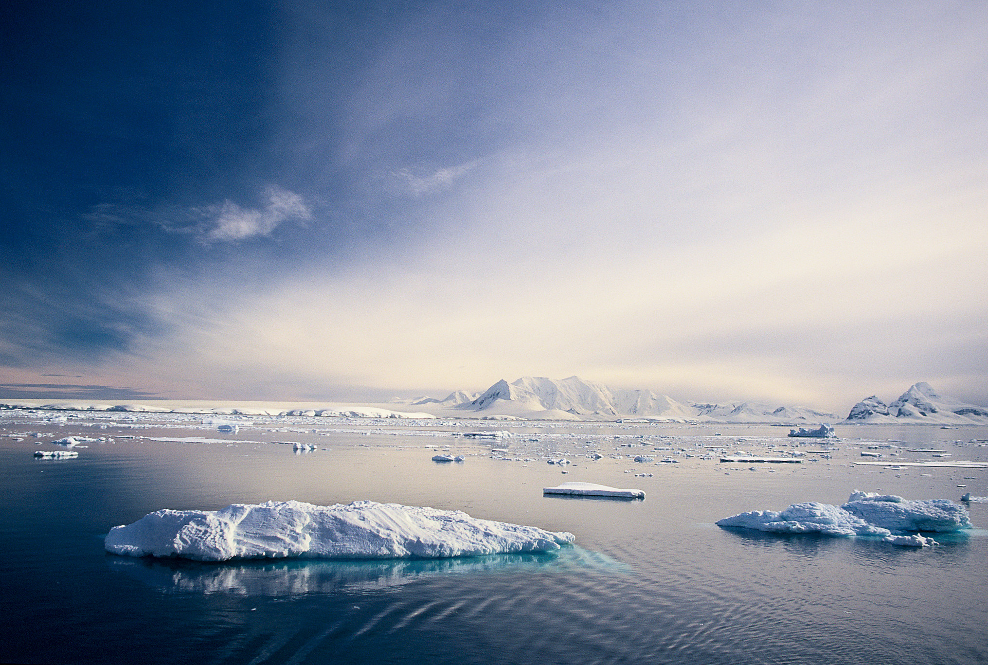 ‘Dringend meer onderzoek nodig om te weten wat toekomst brengt voor zee-ijs rond Antarctica’